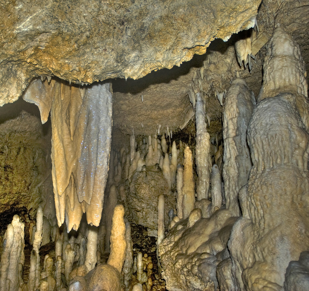 Harrison's Cave Signature Tram Tour Official Pass